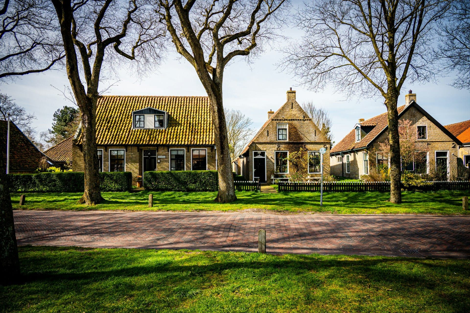 Traditionele Nederlandse woningen met pannendaken aan een groene dorpsstraat